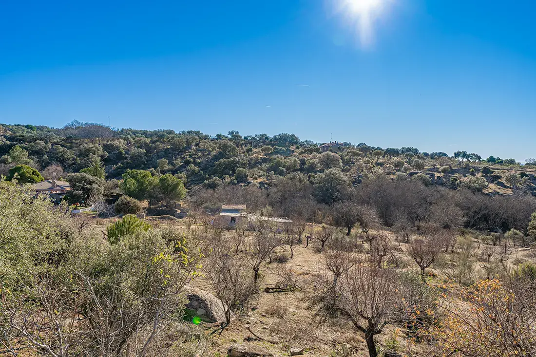 Finca rústica en Valdemorillo en venta - imagen 19