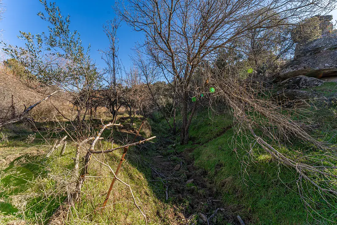 Finca rústica en Valdemorillo en venta - imagen 20