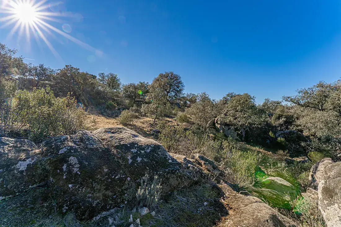 Finca rústica en Valdemorillo en venta - imagen 21