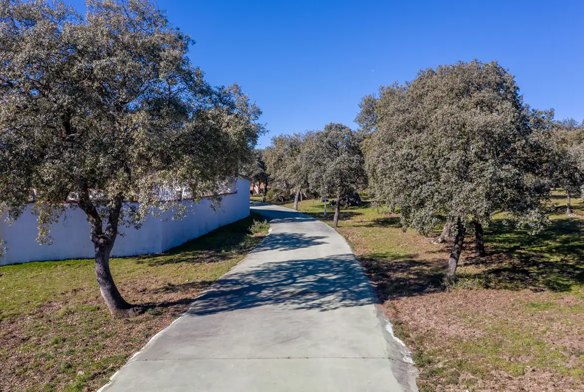 Finca rústica en venta en Valdemorillo - imagen 5