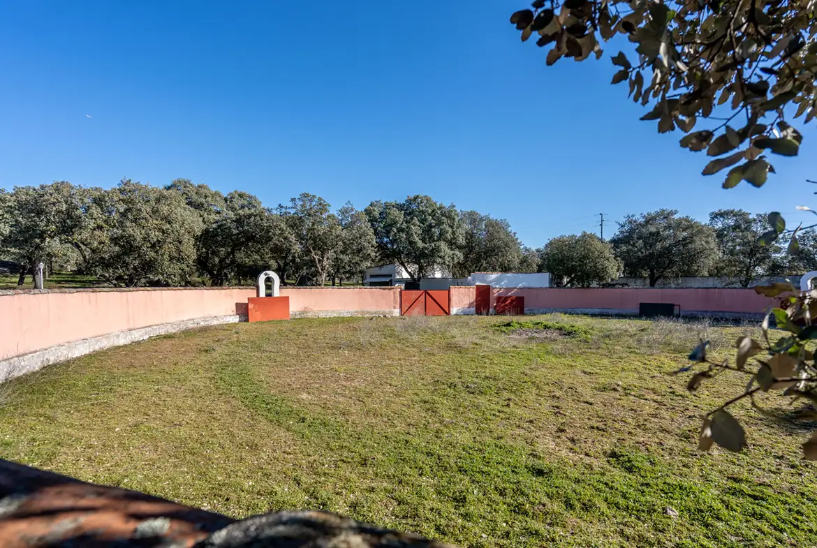 Finca rústica en venta en Valdemorillo - imagen 14