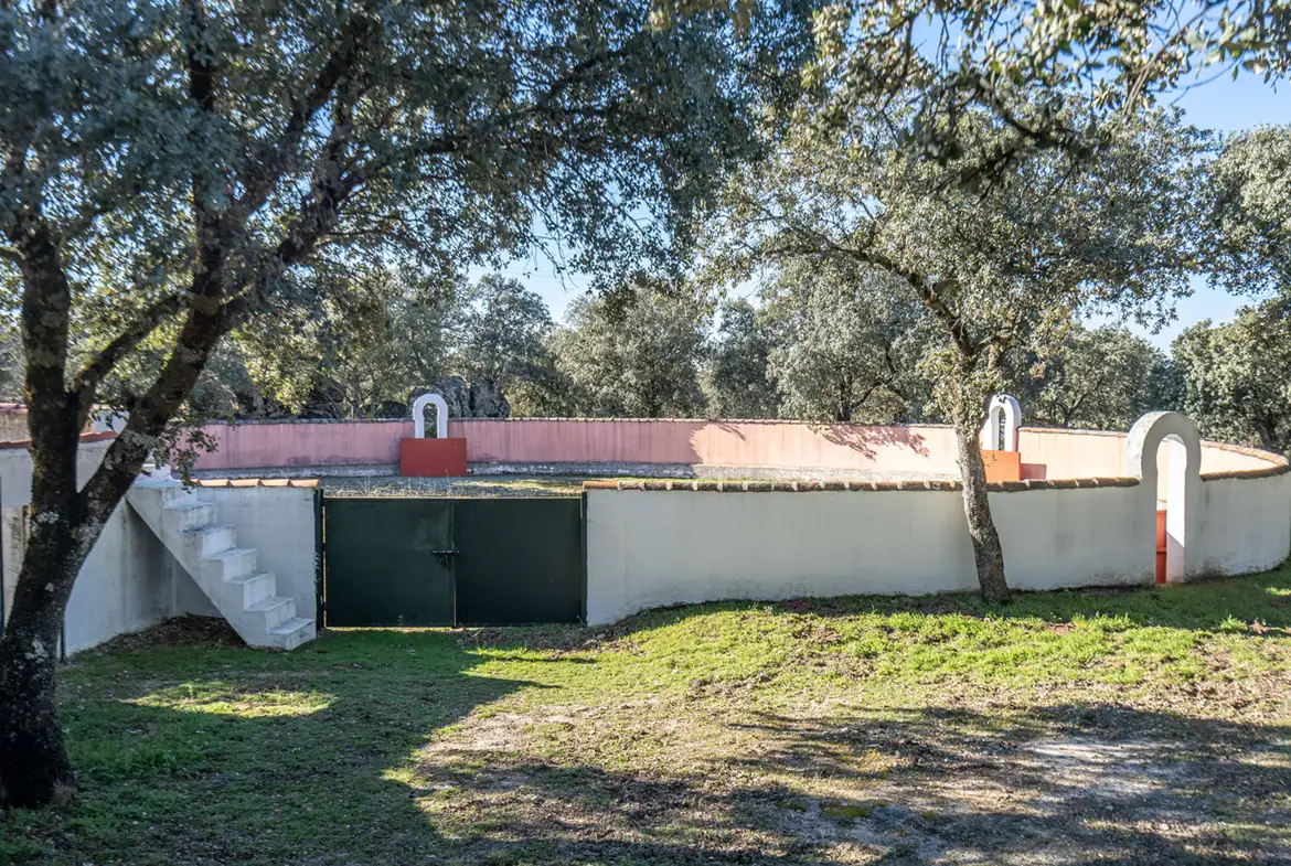 Finca rústica en venta en Valdemorillo - imagen 15