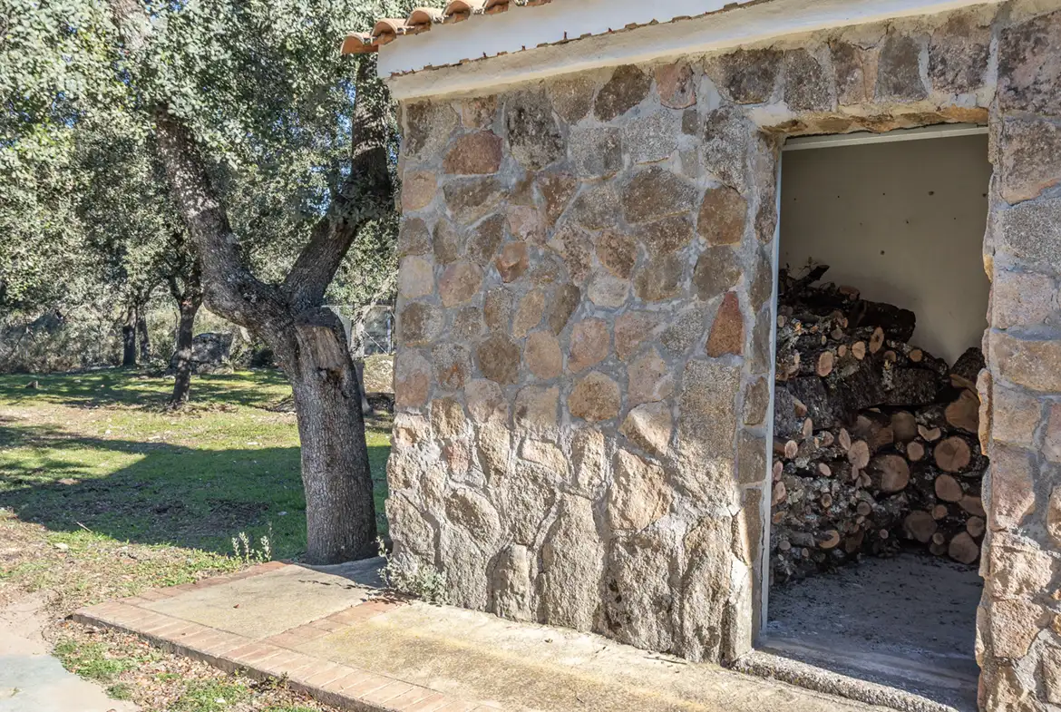 Finca rústica en venta en Valdemorillo - imagen 19