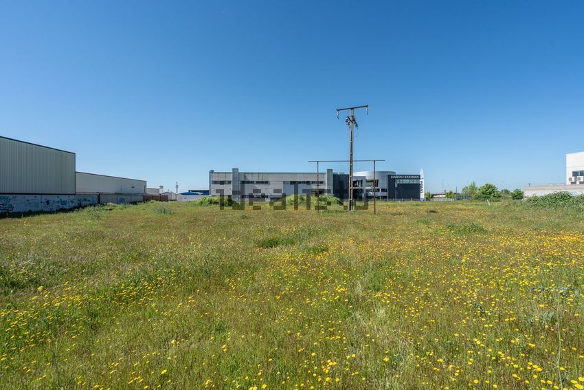 Terreno en venta en Calle Federica Montseny, 13 - imagen 21