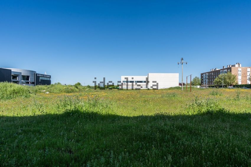 Terreno en venta en Calle Federica Montseny, 13 - imagen 25