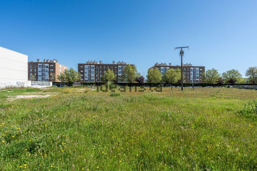 Terreno en venta en Calle Federica Montseny, 13 - imagen 31