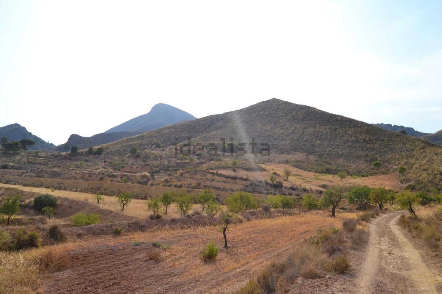 Terreno en venta en poligono91 - imagen 4