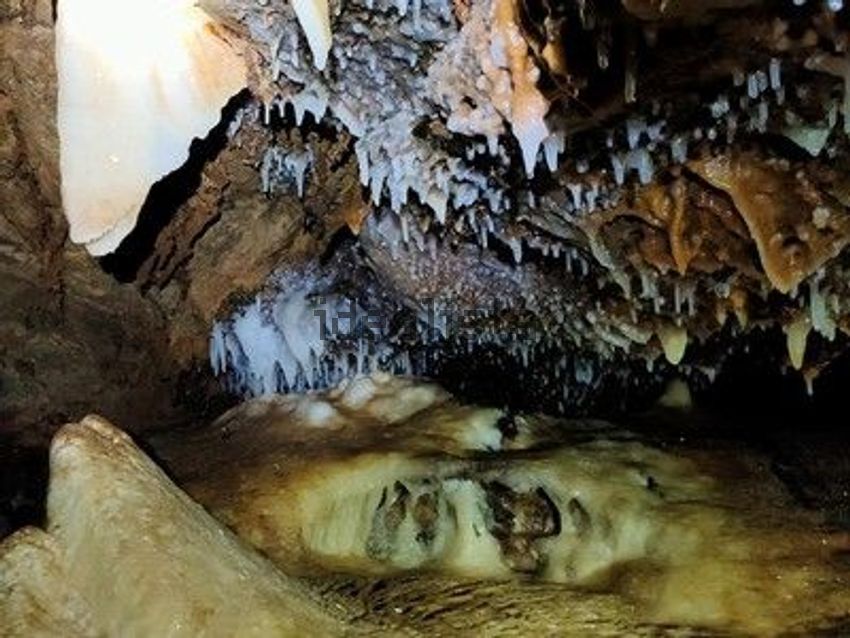Terreno en venta en poligono91 - imagen 9