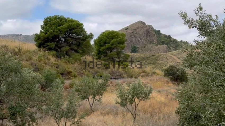 Terreno en venta en poligono91 - imagen 13