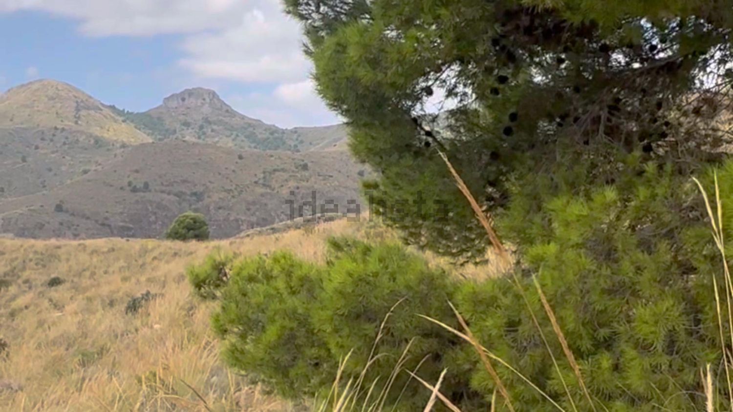 Terreno en venta en poligono91 - imagen 14