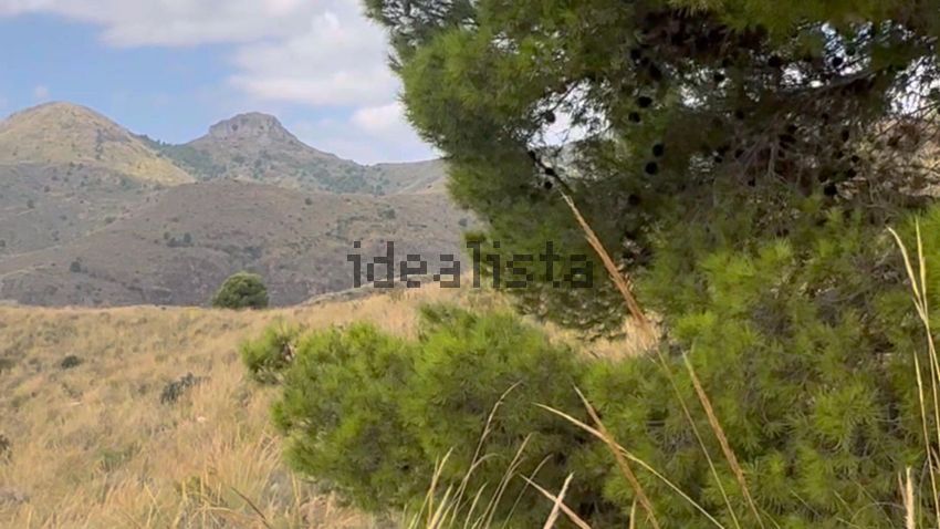 Terreno en venta en poligono91 - imagen 15