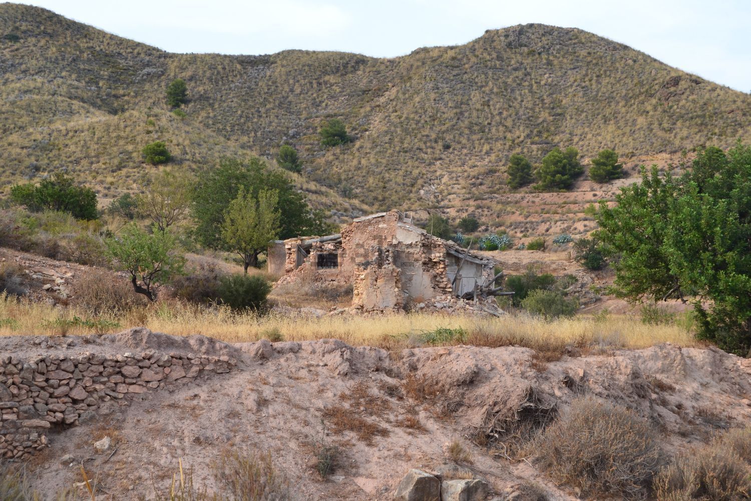 Terreno en venta en poligono91 - imagen 16