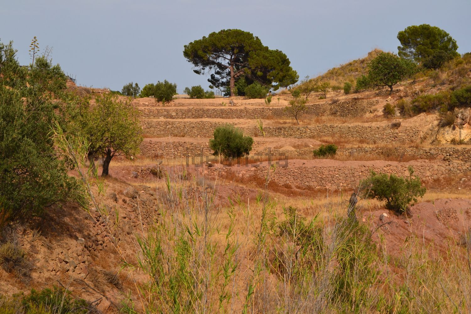 Terreno en venta en poligono91 - imagen 28