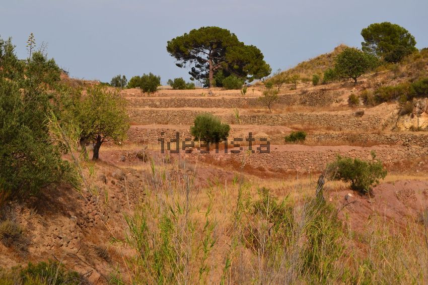 Terreno en venta en poligono91 - imagen 29