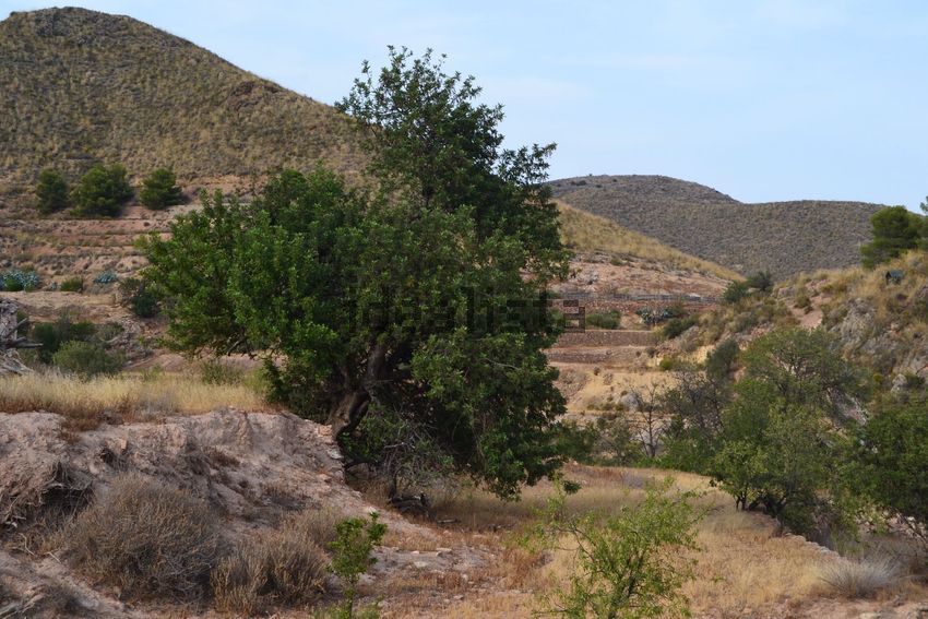Terreno en venta en poligono91 - imagen 35