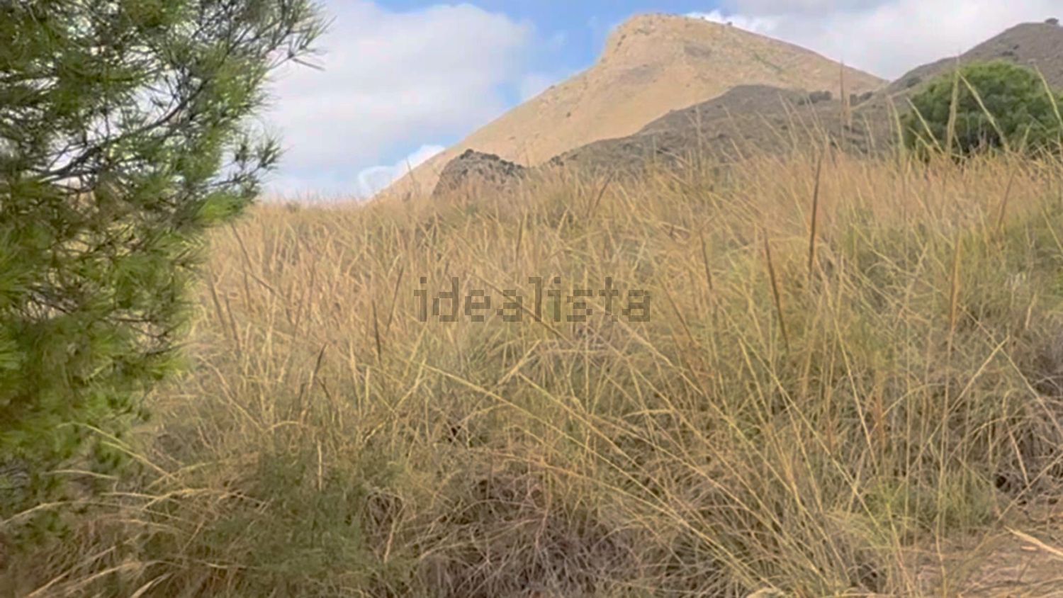 Terreno en venta en poligono91 - imagen 42