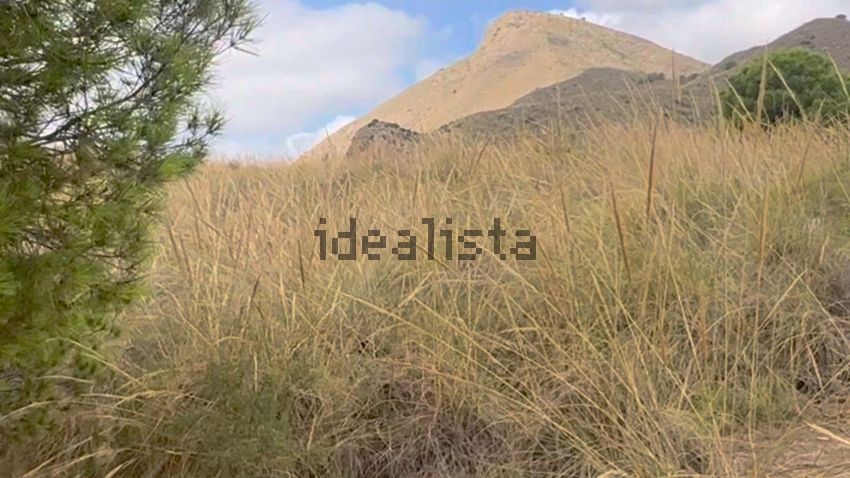 Terreno en venta en poligono91 - imagen 43