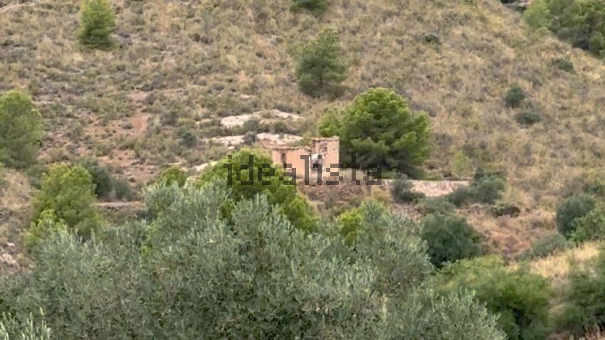 Terreno en venta en poligono91 - imagen 45