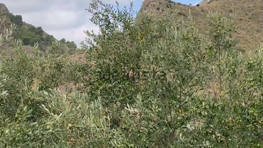 Terreno en venta en poligono91 - imagen 49