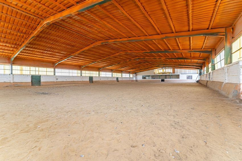 Finca rústica para hípica con vistas a la Sierra de Guadalupe, casi 11 hectáreas - imagen 2