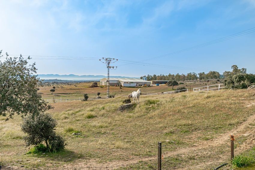 Finca rústica para hípica con vistas a la Sierra de Guadalupe, casi 11 hectáreas - imagen 6