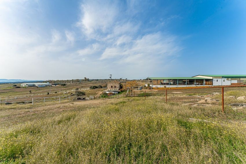 Finca rústica para hípica con vistas a la Sierra de Guadalupe, casi 11 hectáreas - imagen 7