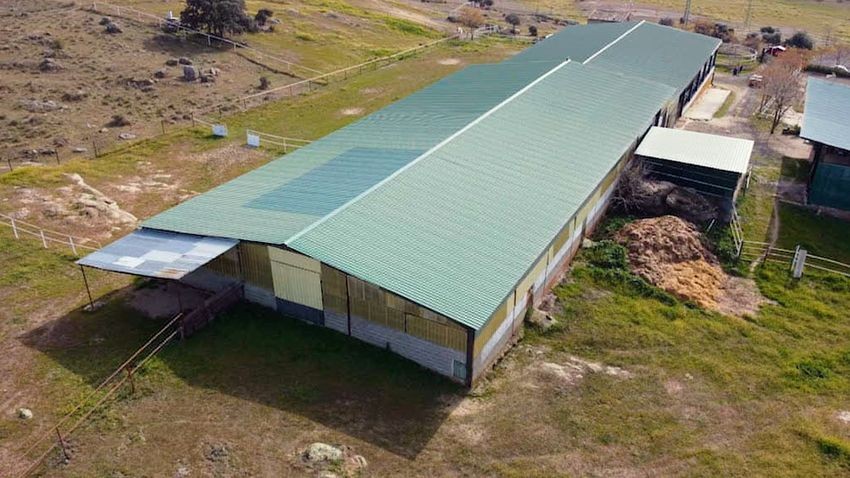 Finca rústica para hípica con vistas a la Sierra de Guadalupe, casi 11 hectáreas - imagen 9