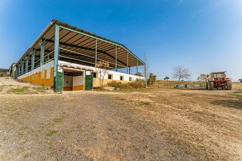 Finca rústica para hípica con vistas a la Sierra de Guadalupe, casi 11 hectáreas - imagen 12