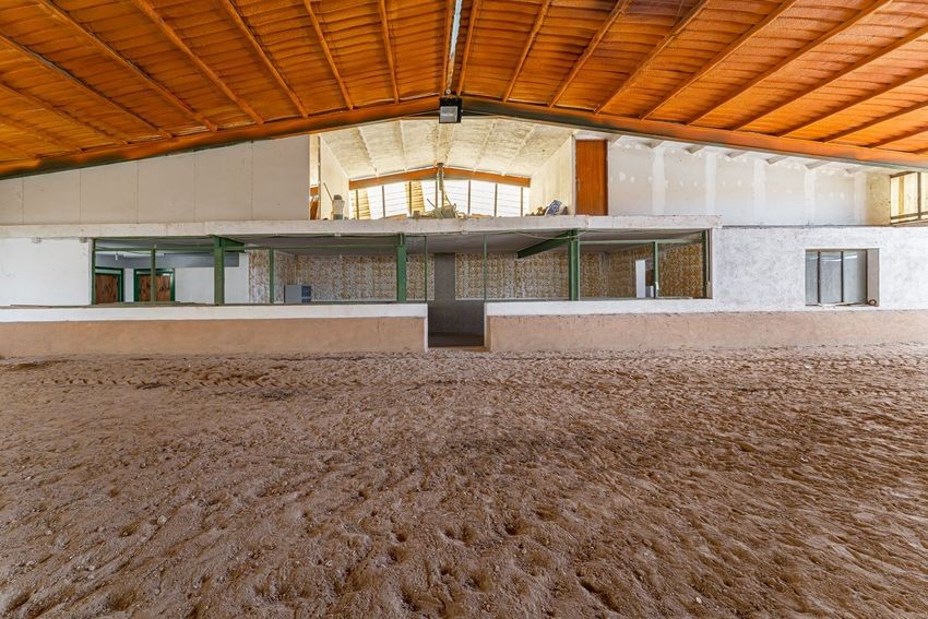 Finca rústica para hípica con vistas a la Sierra de Guadalupe, casi 11 hectáreas - imagen 14