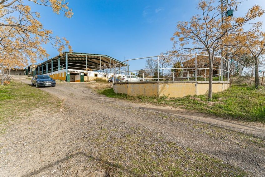Finca rústica para hípica con vistas a la Sierra de Guadalupe, casi 11 hectáreas - imagen 18