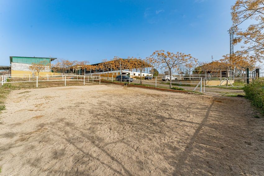 Finca rústica para hípica con vistas a la Sierra de Guadalupe, casi 11 hectáreas - imagen 19