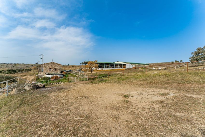 Finca rústica para hípica con vistas a la Sierra de Guadalupe, casi 11 hectáreas - imagen 27