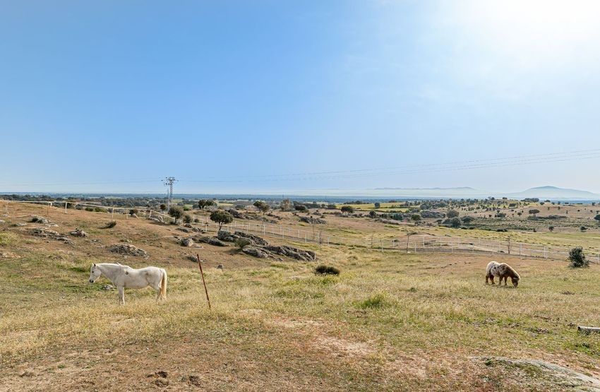 Finca rústica para hípica con vistas a la Sierra de Guadalupe, casi 11 hectáreas - imagen 28
