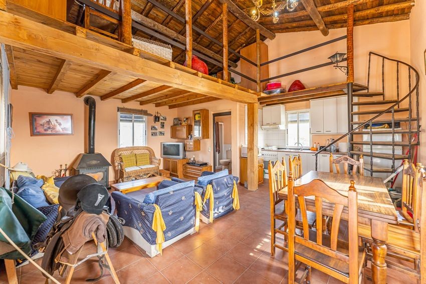 Finca rústica para hípica con vistas a la Sierra de Guadalupe, casi 11 hectáreas - imagen 32