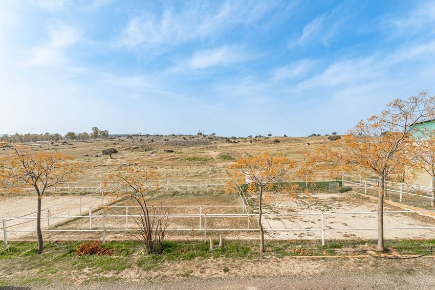 Finca rústica para hípica con vistas a la Sierra de Guadalupe, casi 11 hectáreas - imagen 40
