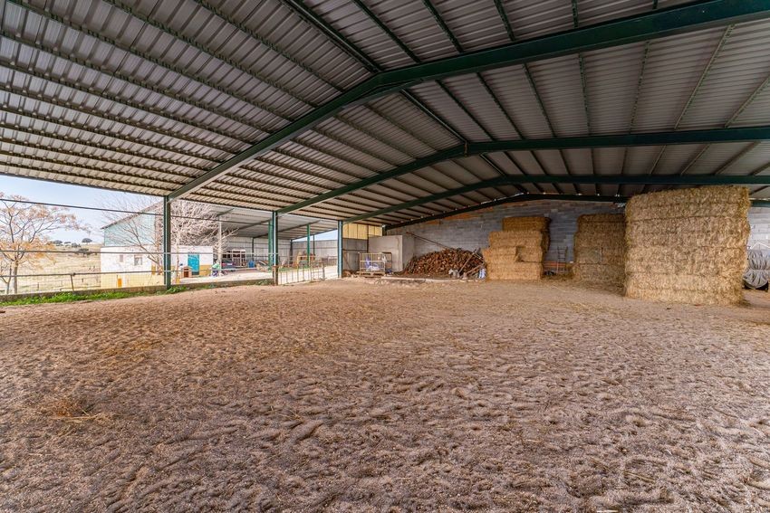 Finca rústica para hípica con vistas a la Sierra de Guadalupe, casi 11 hectáreas - imagen 41