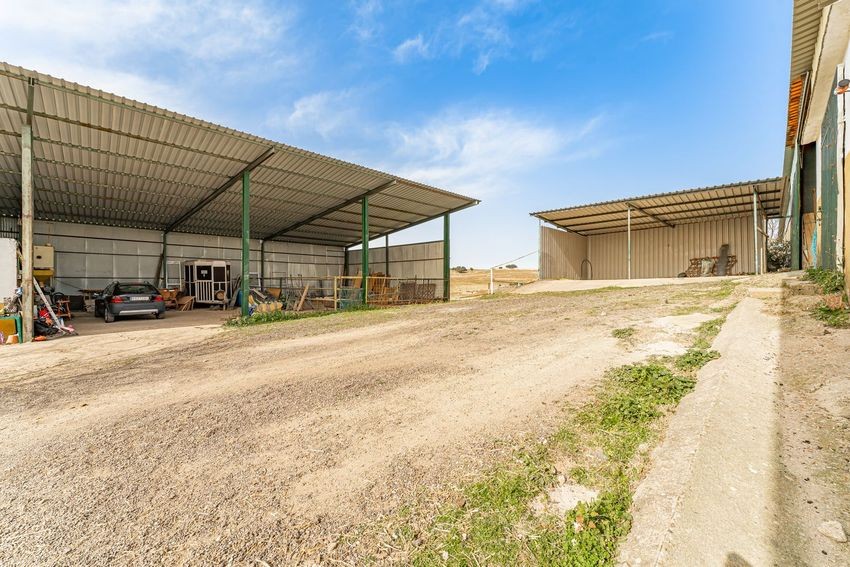 Finca rústica para hípica con vistas a la Sierra de Guadalupe, casi 11 hectáreas - imagen 42