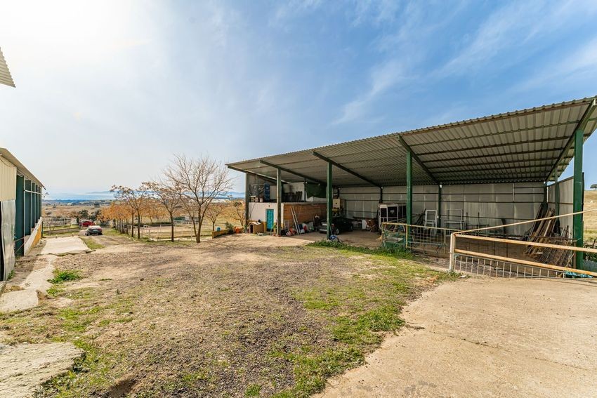 Finca rústica para hípica con vistas a la Sierra de Guadalupe, casi 11 hectáreas - imagen 44