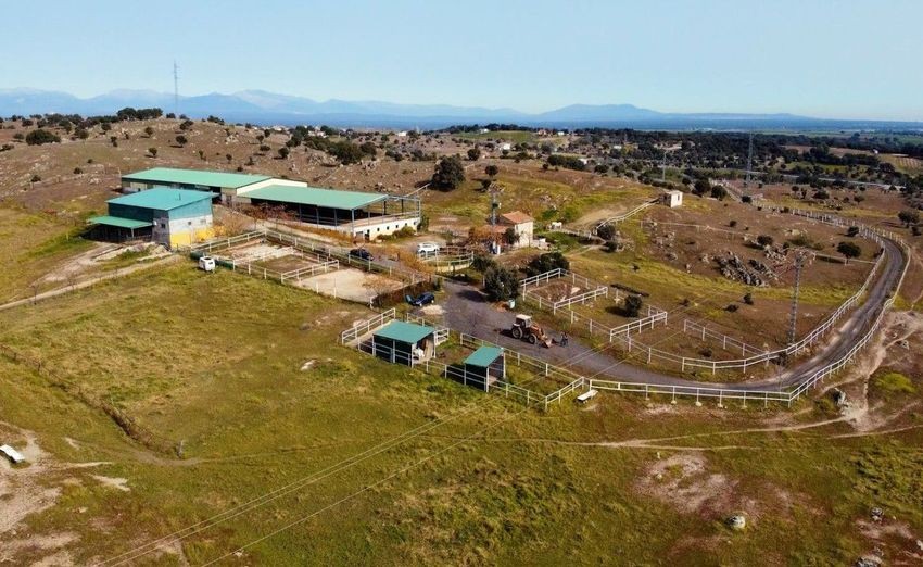 Finca rústica para hípica con vistas a la Sierra de Guadalupe, casi 11 hectáreas - imagen 48