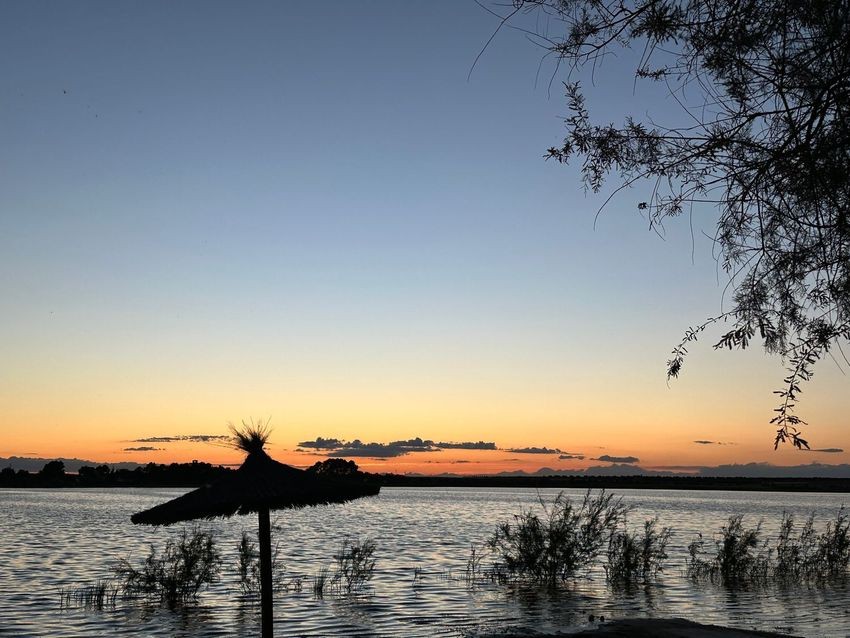 Finca con dos viviendas y jardín en pleno corazón de las Lagunas de Villafranca, Reserva de la Biosfera - imagen 7