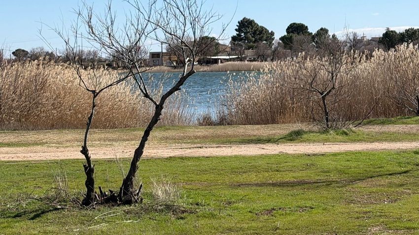 Finca con dos viviendas y jardín en pleno corazón de las Lagunas de Villafranca, Reserva de la Biosfera - imagen 58