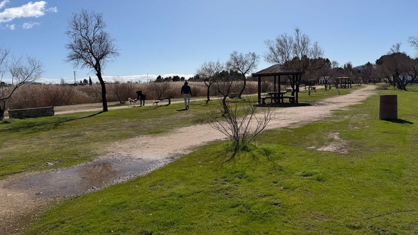 Finca con dos viviendas y jardín en pleno corazón de las Lagunas de Villafranca, Reserva de la Biosfera - imagen 59